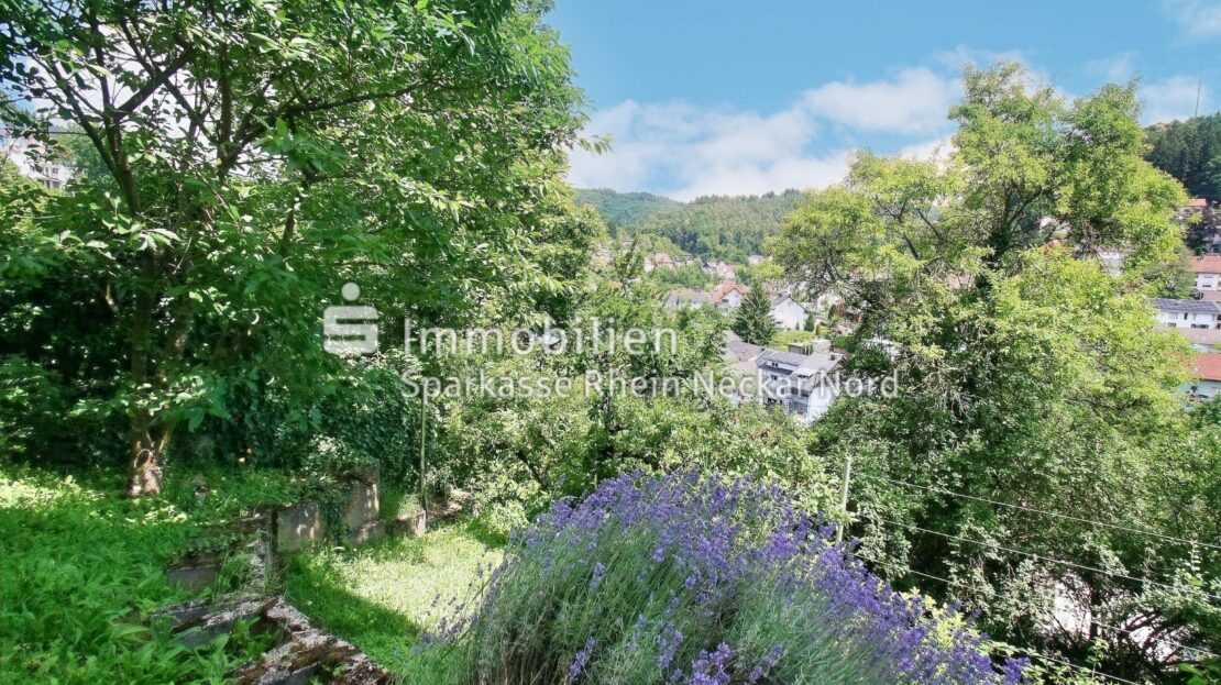Impressionen des Gartens