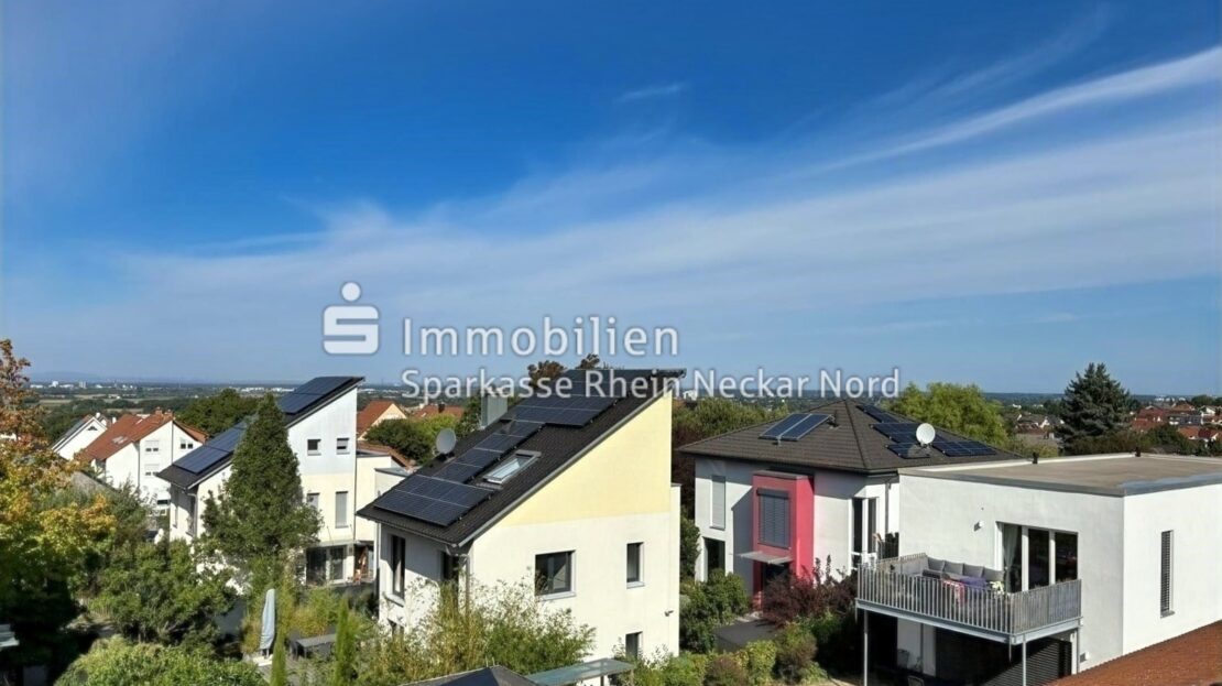 Ausblick DG