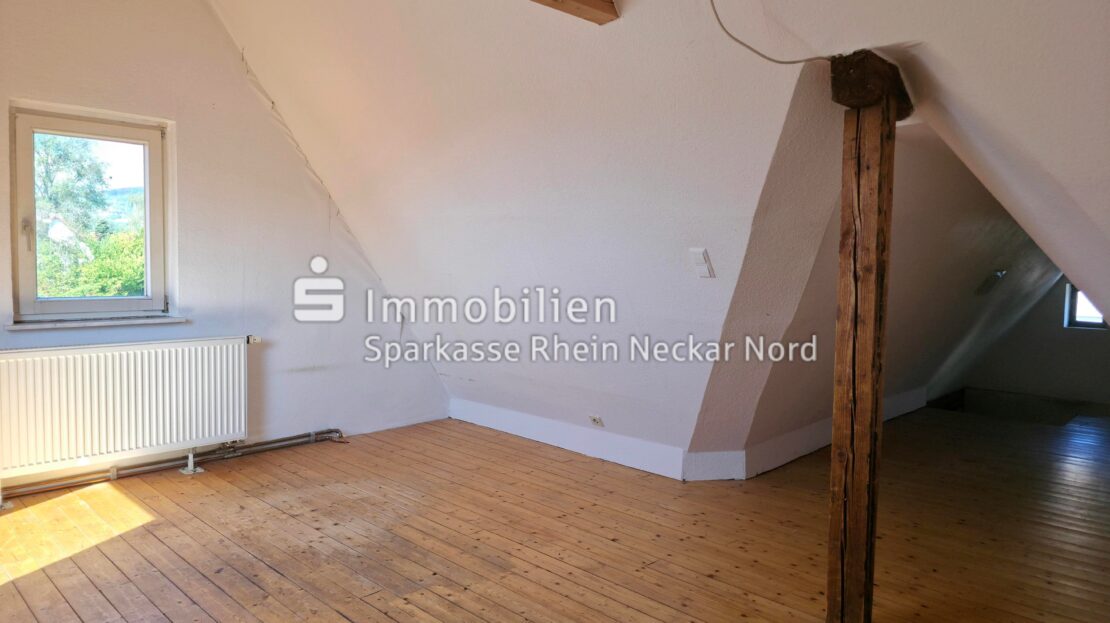 DG-Studio