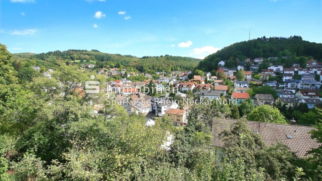 Blick vom Balkon GG