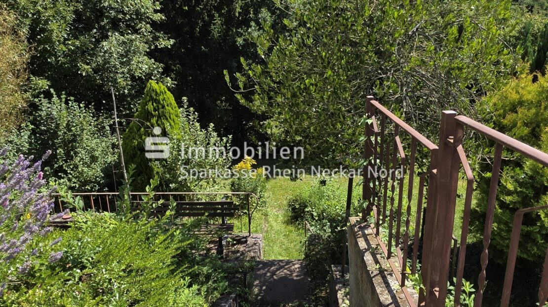 Real Estate Title Image Background